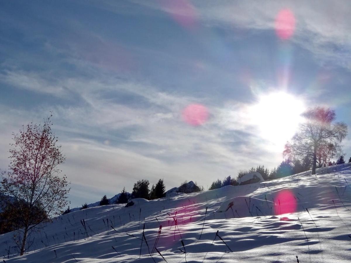 L'Ansloboys Montagne A2 Daire Les Deux Alpes Dış mekan fotoğraf