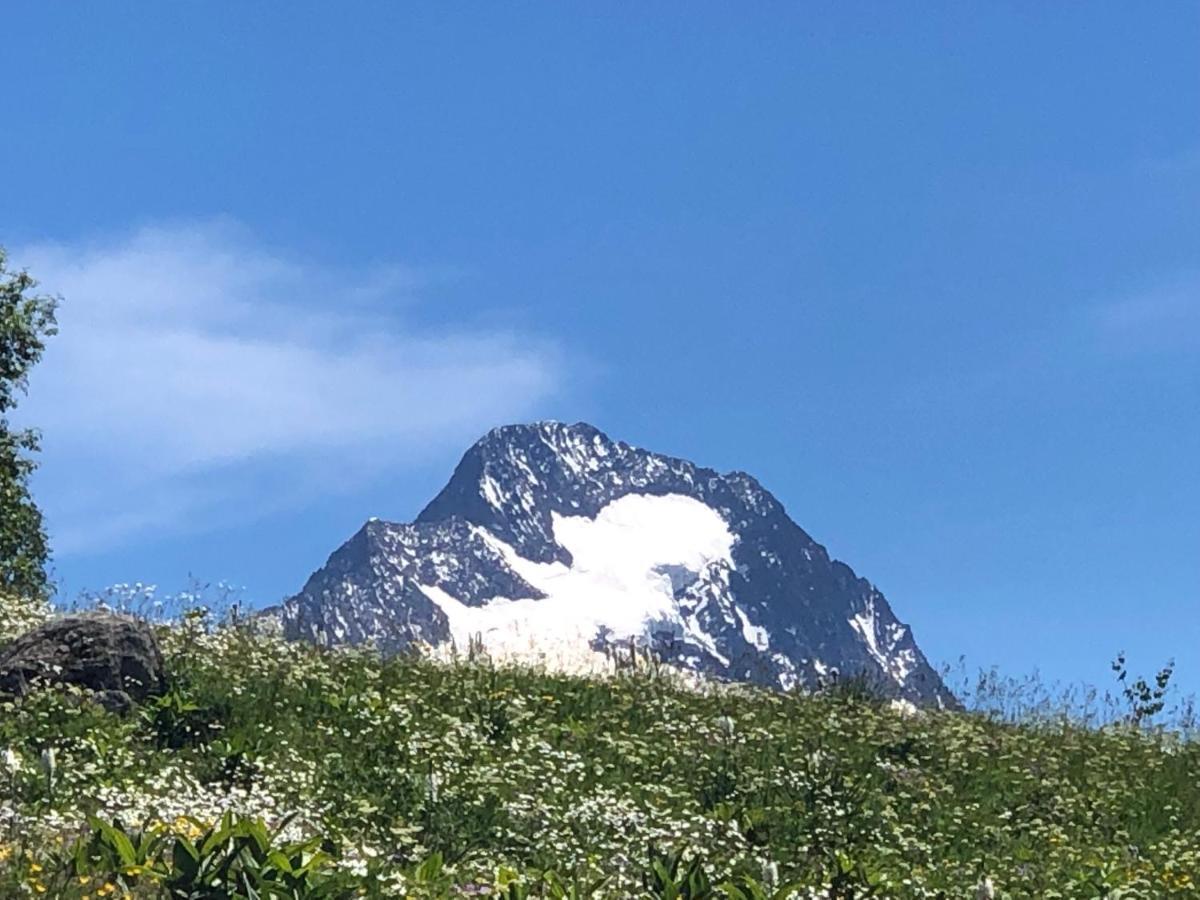 L'Ansloboys Montagne A2 Daire Les Deux Alpes Dış mekan fotoğraf